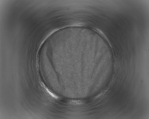 X0000080680835200701121656