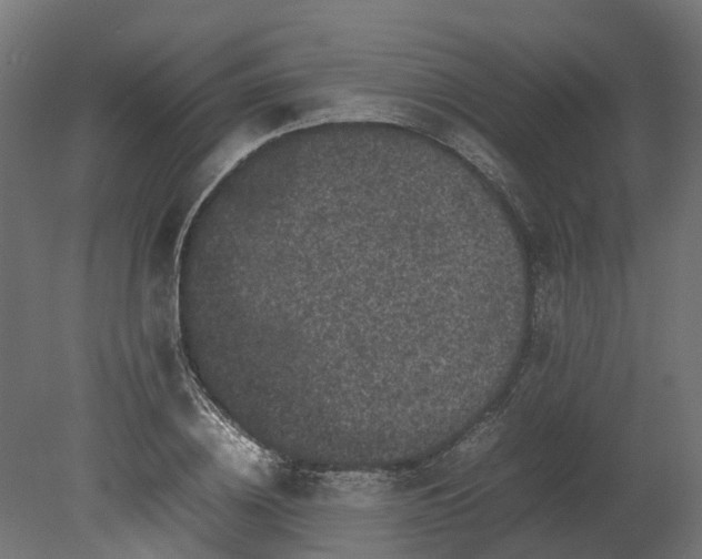 X0000080680836200701121656