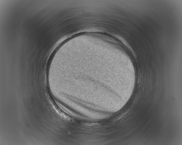 X0000080680837200701121656