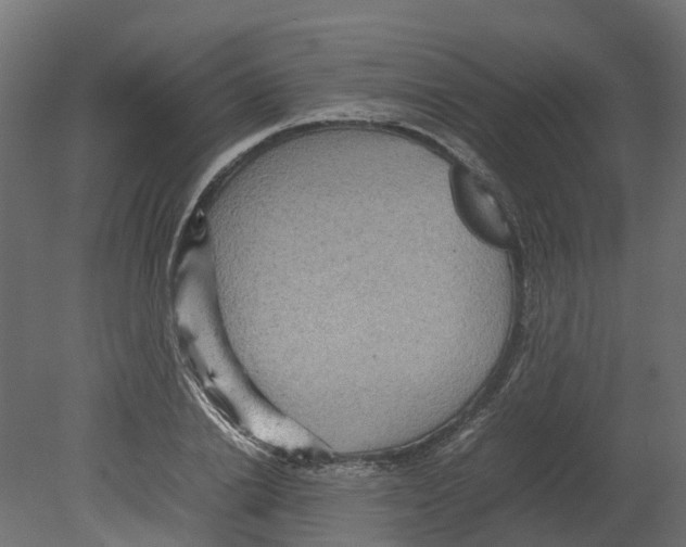 X0000080680838200701121656