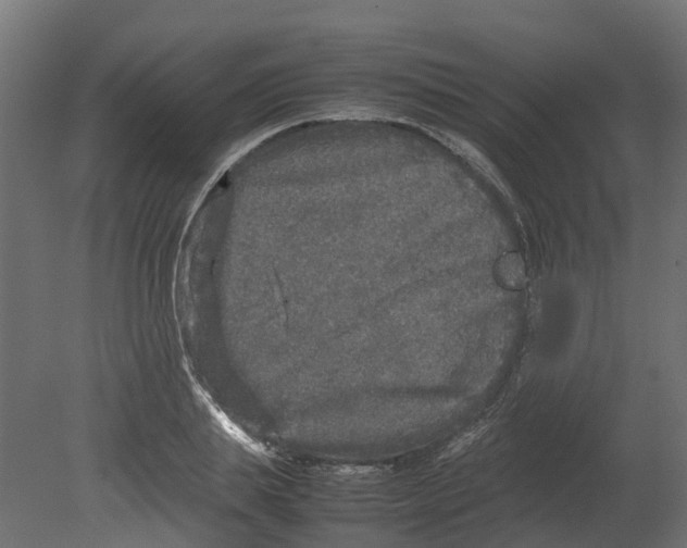 X0000080680839200701121656