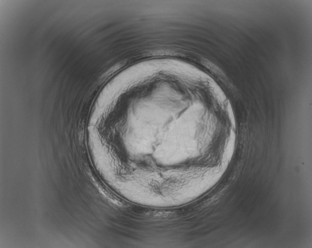 X0000080680841200701121657