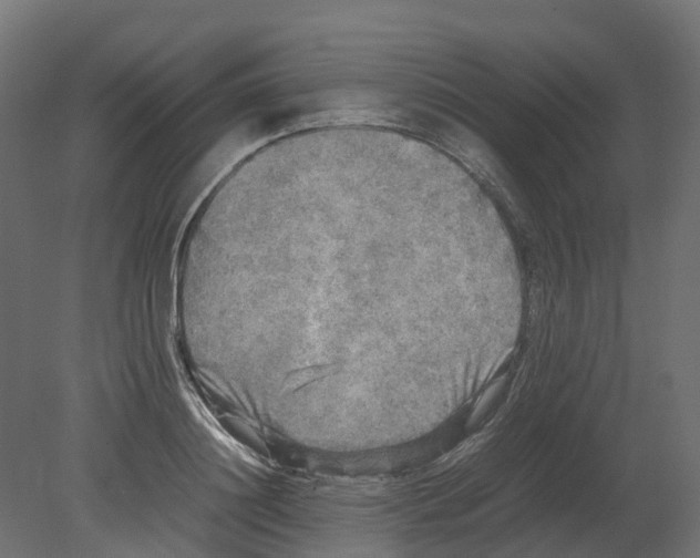 X0000080680844200701121657