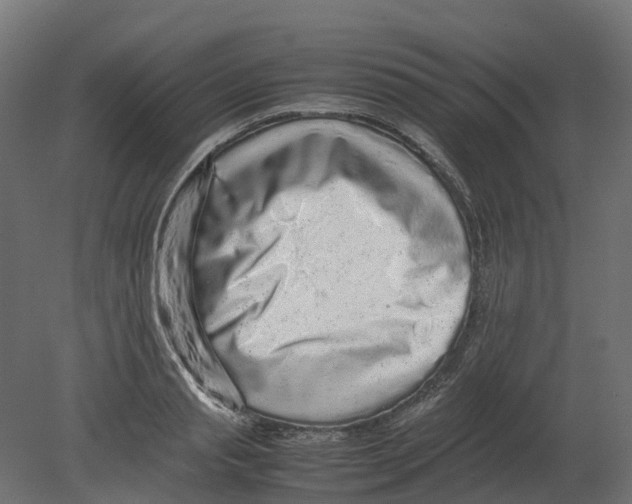 X0000080680845200701121657