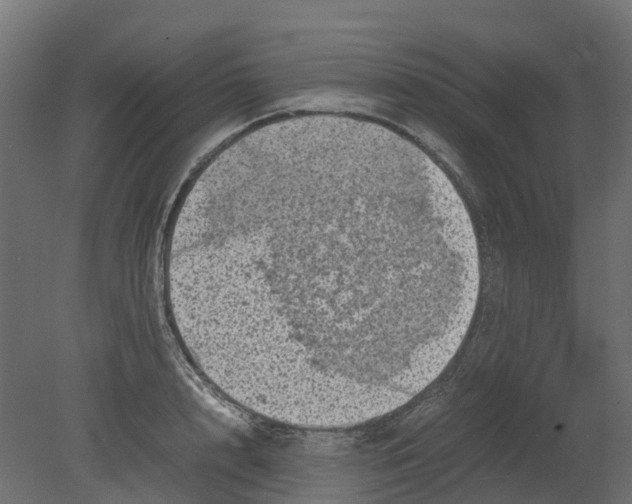 X0000080680848200701121657