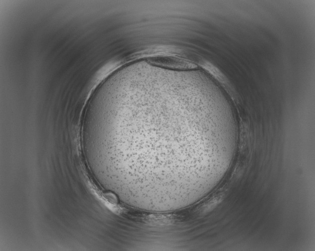 X0000080680850200701121657