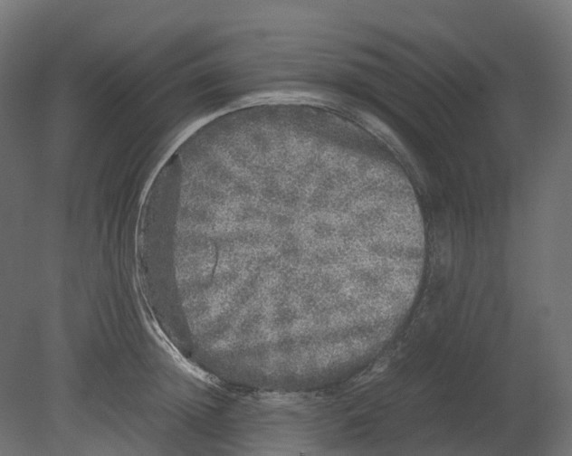 X0000080680852200701121657