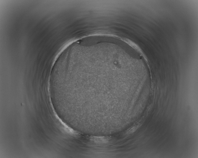 X0000080680855200701121657