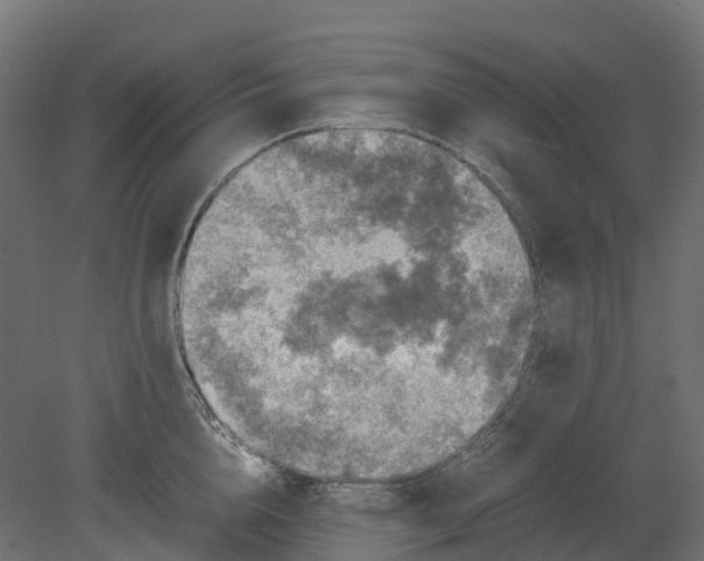 X0000080680856200701121657