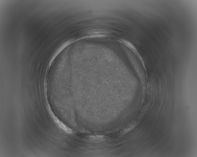 X0000080680859200701121657