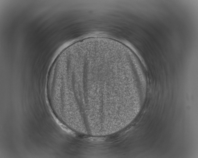 X0000080680861200701121657