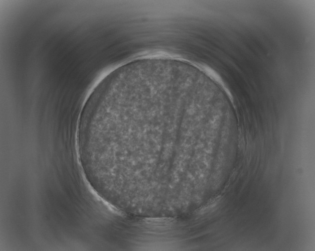 X0000080680863200701121657