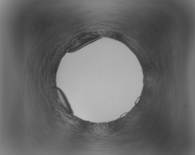 X0000080680865200701121656