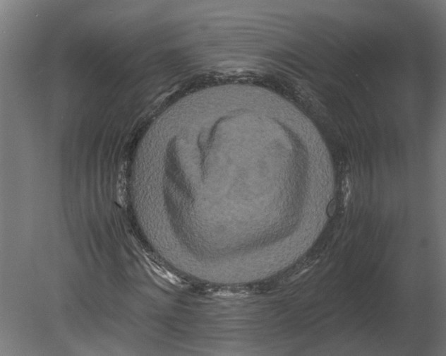 X0000080680868200701121656