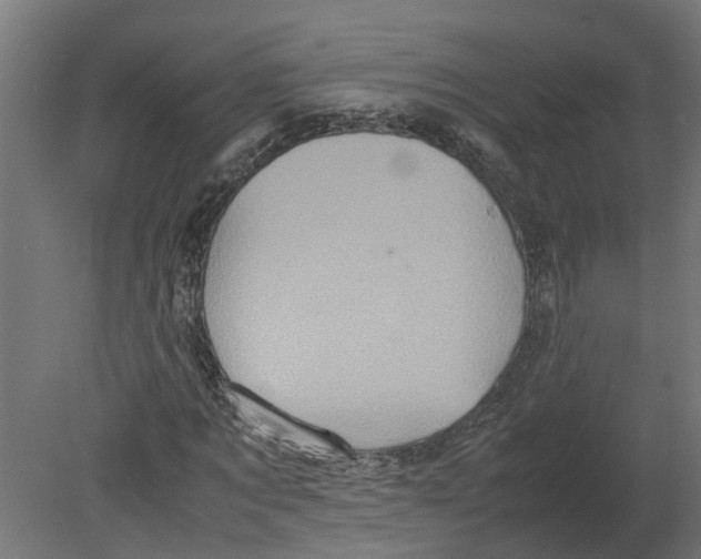 X0000080680869200701121656