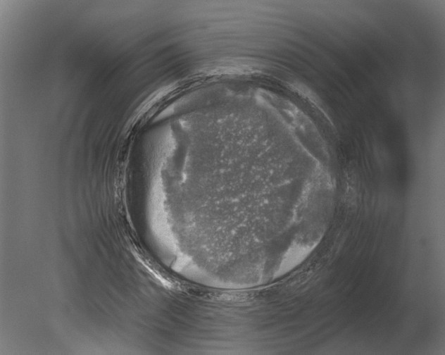 X0000080680874200701121656