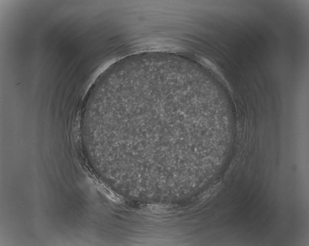 X0000080680875200701121656