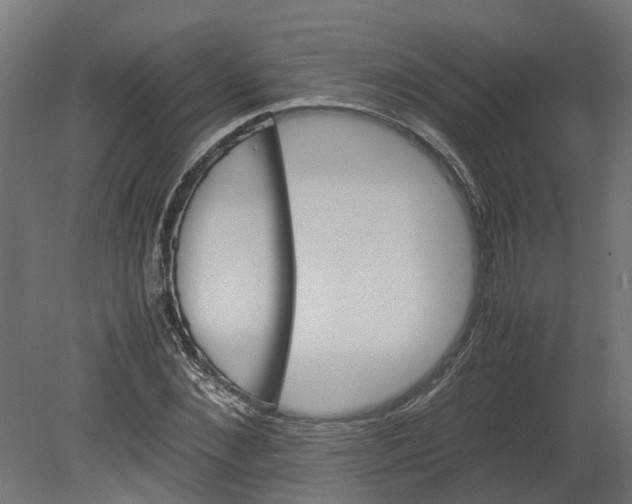 X0000080680876200701121656