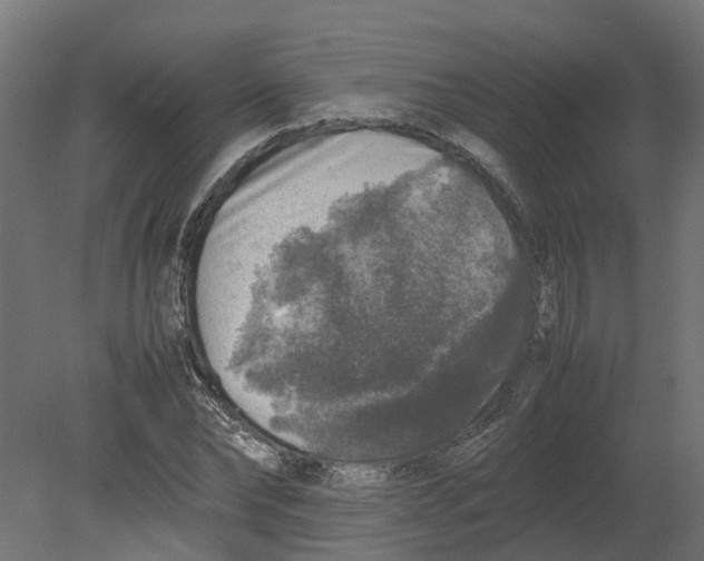 X0000080680878200701121656