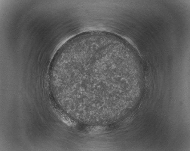 X0000080680879200701121656