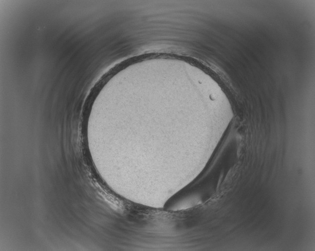 X0000080680880200701121656