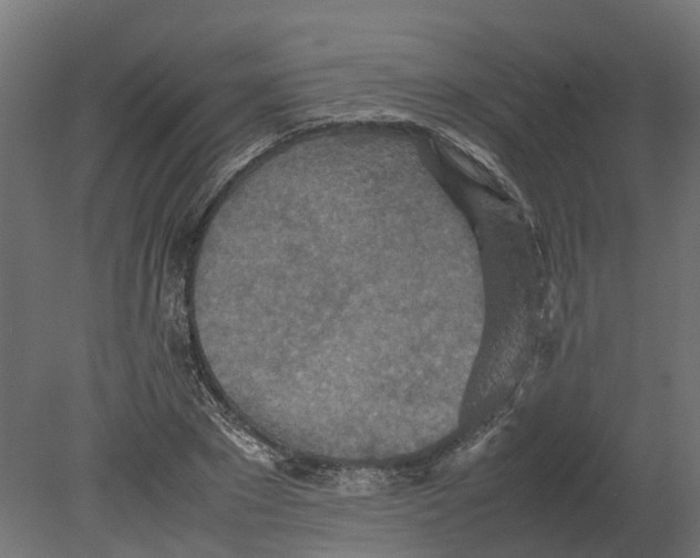 X0000080680881200701121656