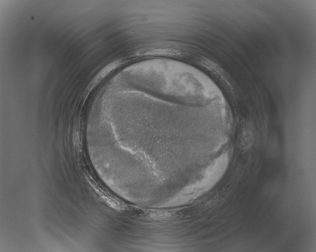 X0000080680882200701121656