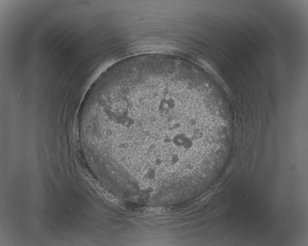 X0000080680883200701121656