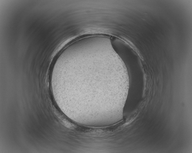 X0000080680885200701121656