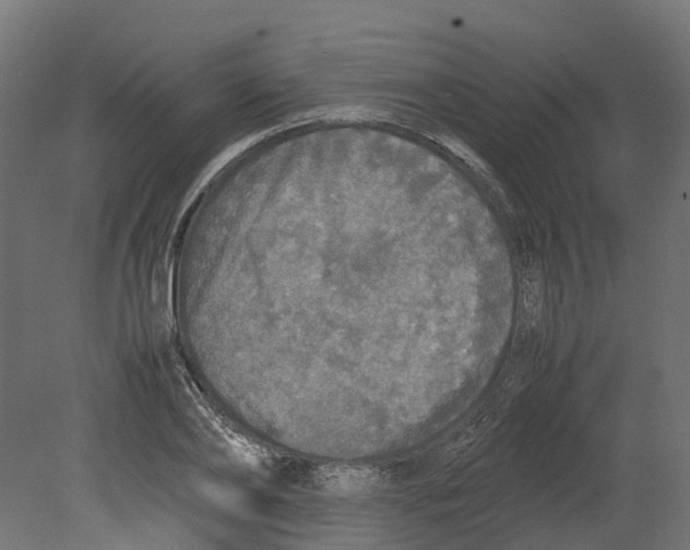 X0000080680886200701121656