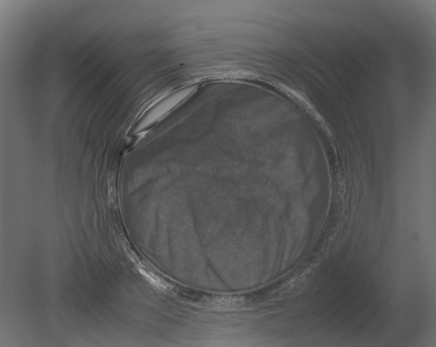 X0000080680889200701121656