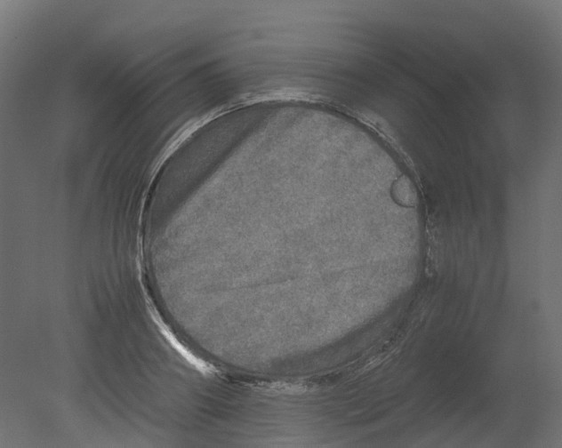 X0000080680890200701121656