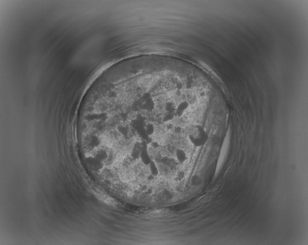 X0000080680891200701121656