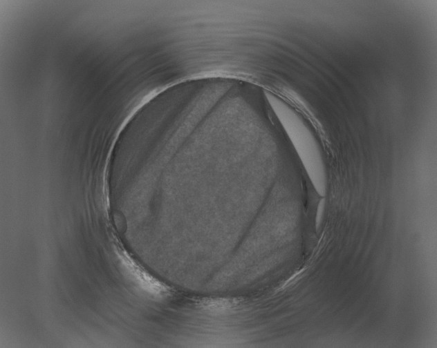 X0000080680892200701121656