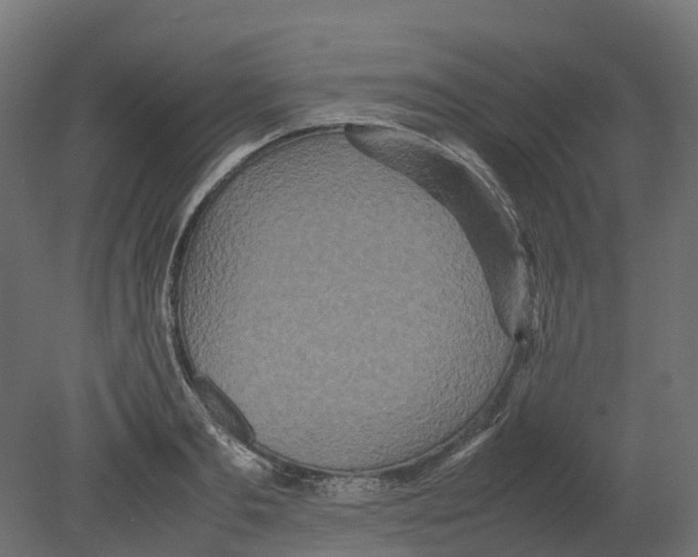 X0000080680893200701121656