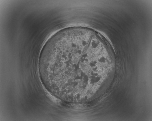 X0000080680895200701121656