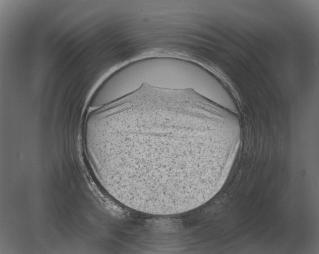 X0000080680896200701121656