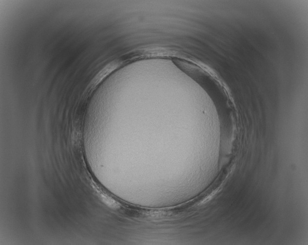 X0000080680897200701121656