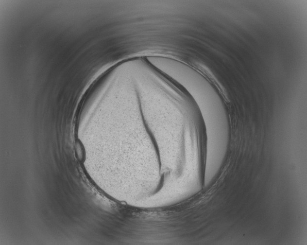 X0000080680900200701121655