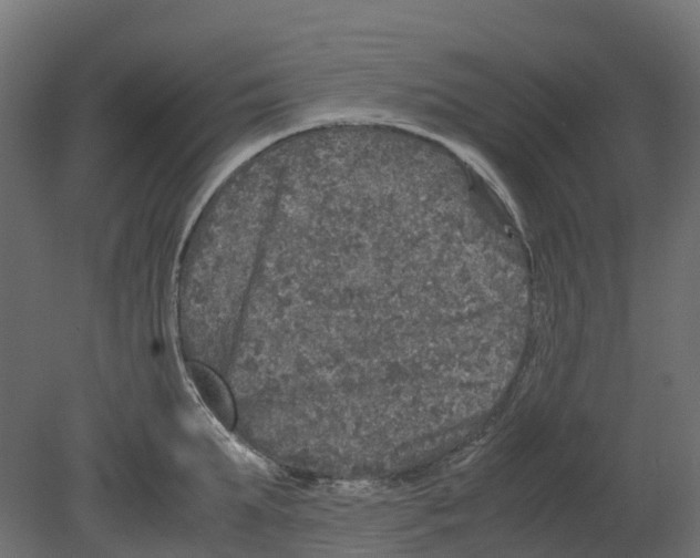 X0000080680903200701121655