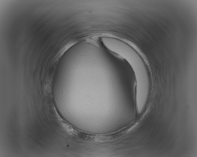 X0000080680905200701121655