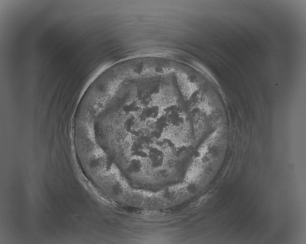 X0000080680907200701121655