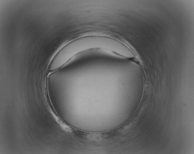 X0000080680909200701121655