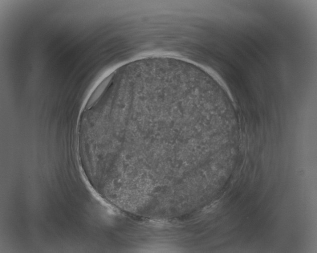 X0000080680911200701121655