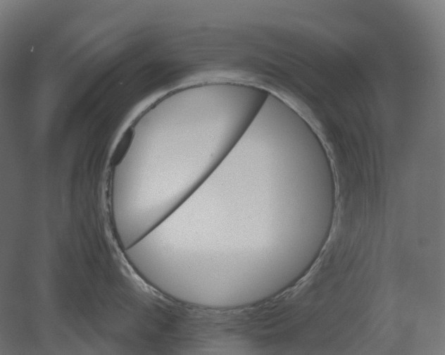 X0000080680912200701121655