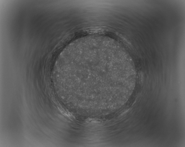 X0000080680913200701121654