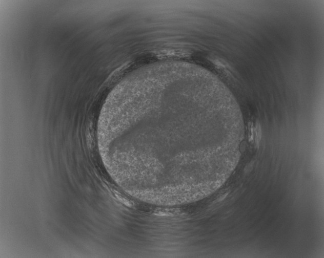 X0000080680915200701121654