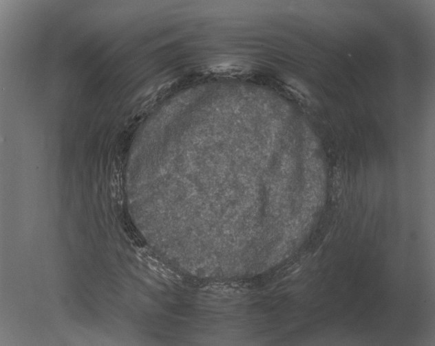 X0000080680917200701121655