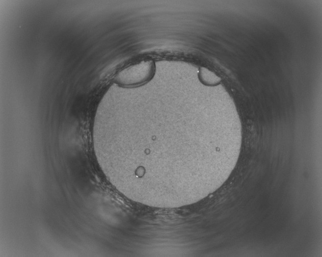 X0000080680918200701121655