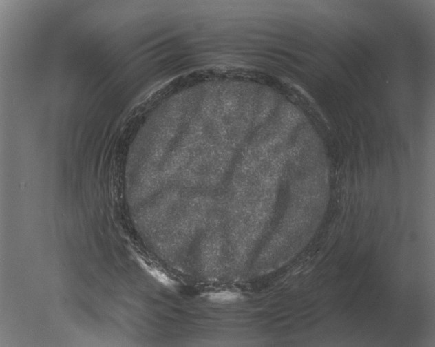 X0000080680919200701121655